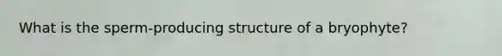 What is the sperm-producing structure of a bryophyte?