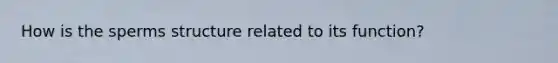 How is the sperms structure related to its function?