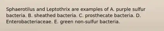 Sphaerotilus and Leptothrix are examples of A. purple sulfur bacteria. B. sheathed bacteria. C. prosthecate bacteria. D. Enterobacteriaceae. E. green non-sulfur bacteria.