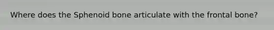 Where does the Sphenoid bone articulate with the frontal bone?