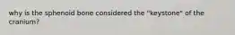 why is the sphenoid bone considered the "keystone" of the cranium?