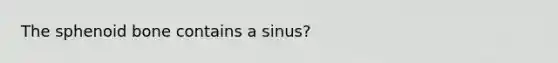 The sphenoid bone contains a sinus?