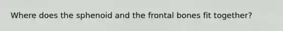 Where does the sphenoid and the frontal bones fit together?