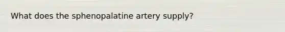 What does the sphenopalatine artery supply?