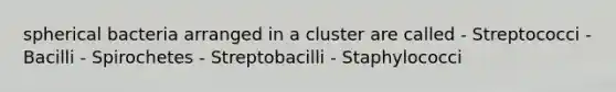 spherical bacteria arranged in a cluster are called - Streptococci - Bacilli - Spirochetes - Streptobacilli - Staphylococci