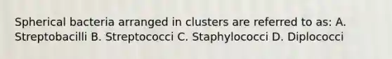 Spherical bacteria arranged in clusters are referred to as: A. Streptobacilli B. Streptococci C. Staphylococci D. Diplococci