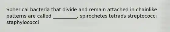 Spherical bacteria that divide and remain attached in chainlike patterns are called __________. spirochetes tetrads streptococci staphylococci