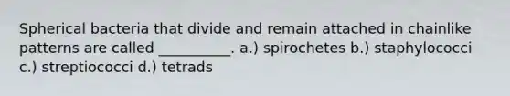 Spherical bacteria that divide and remain attached in chainlike patterns are called __________. a.) spirochetes b.) staphylococci c.) streptiococci d.) tetrads