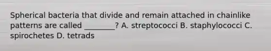 Spherical bacteria that divide and remain attached in chainlike patterns are called ________? A. streptococci B. staphylococci C. spirochetes D. tetrads