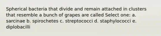 Spherical bacteria that divide and remain attached in clusters that resemble a bunch of grapes are called Select one: a. sarcinae b. spirochetes c. streptococci d. staphylococci e. diplobacilli