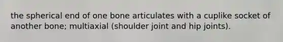 the spherical end of one bone articulates with a cuplike socket of another bone; multiaxial (shoulder joint and hip joints).