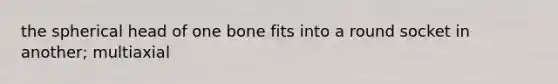 the spherical head of one bone fits into a round socket in another; multiaxial