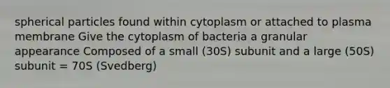 spherical particles found within cytoplasm or attached to plasma membrane Give the cytoplasm of bacteria a granular appearance Composed of a small (30S) subunit and a large (50S) subunit = 70S (Svedberg)