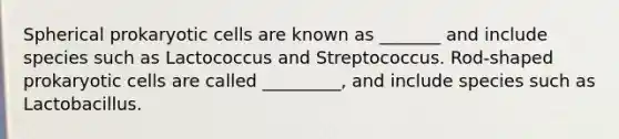 Spherical prokaryotic cells are known as _______ and include species such as Lactococcus and Streptococcus. Rod-shaped prokaryotic cells are called _________, and include species such as Lactobacillus.