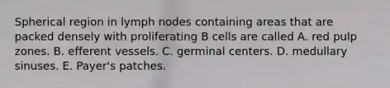 Spherical region in lymph nodes containing areas that are packed densely with proliferating B cells are called A. red pulp zones. B. efferent vessels. C. germinal centers. D. medullary sinuses. E. Payer's patches.