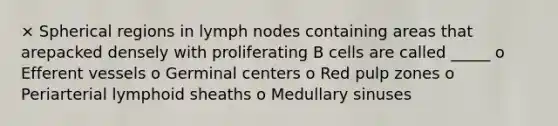 × Spherical regions in lymph nodes containing areas that arepacked densely with proliferating B cells are called _____ o Efferent vessels o Germinal centers o Red pulp zones o Periarterial lymphoid sheaths o Medullary sinuses