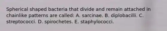 Spherical shaped bacteria that divide and remain attached in chainlike patterns are called: A. sarcinae. B. diplobacilli. C. streptococci. D. spirochetes. E. staphylococci.