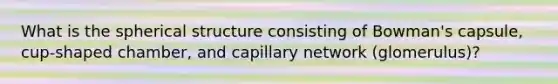 What is the spherical structure consisting of Bowman's capsule, cup-shaped chamber, and capillary network (glomerulus)?