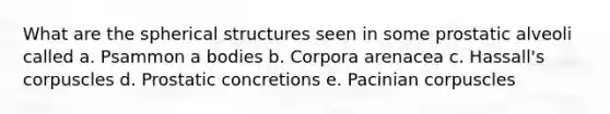 What are the spherical structures seen in some prostatic alveoli called a. Psammon a bodies b. Corpora arenacea c. Hassall's corpuscles d. Prostatic concretions e. Pacinian corpuscles