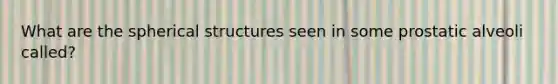 What are the spherical structures seen in some prostatic alveoli called?