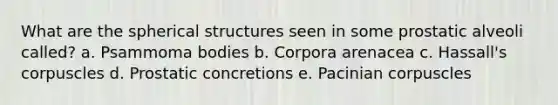 What are the spherical structures seen in some prostatic alveoli called? a. Psammoma bodies b. Corpora arenacea c. Hassall's corpuscles d. Prostatic concretions e. Pacinian corpuscles