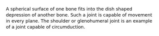 A spherical surface of one bone fits into the dish shaped depression of another bone. Such a joint is capable of movement in every plane. The shoulder or glenohumeral joint is an example of a joint capable of circumduction.