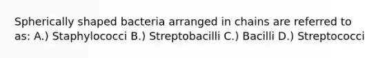 Spherically shaped bacteria arranged in chains are referred to as: A.) Staphylococci B.) Streptobacilli C.) Bacilli D.) Streptococci