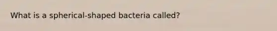 What is a spherical-shaped bacteria called?