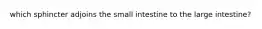 which sphincter adjoins the small intestine to the large intestine?