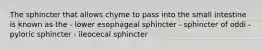 The sphincter that allows chyme to pass into the small intestine is known as the - lower esophageal sphincter - sphincter of oddi - pyloric sphincter - ileocecal sphincter