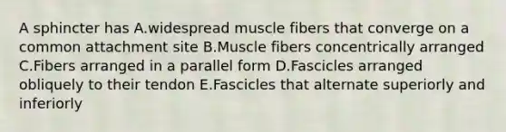 A sphincter has A.widespread muscle fibers that converge on a common attachment site B.Muscle fibers concentrically arranged C.Fibers arranged in a parallel form D.Fascicles arranged obliquely to their tendon E.Fascicles that alternate superiorly and inferiorly