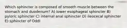 Which sphincter is composed of smooth muscle between the stomach and duodenum? A) lower esophageal sphincter B) pyloric sphincter C) internal anal sphincter D) ileocecal sphincter E) sphincter of Oddi