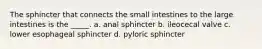 The sphincter that connects the small intestines to the large intestines is the _____. a. anal sphincter b. ileocecal valve c. lower esophageal sphincter d. pyloric sphincter