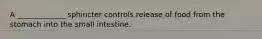 A _____________ sphincter controls release of food from the stomach into the small intestine.
