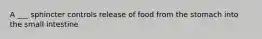 A ___ sphincter controls release of food from the stomach into the small intestine