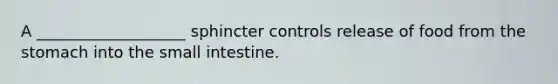 A ___________________ sphincter controls release of food from the stomach into the small intestine.