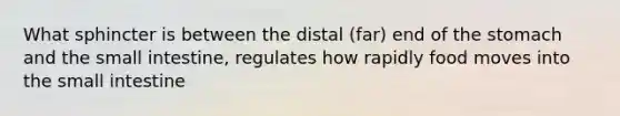 What sphincter is between the distal (far) end of <a href='https://www.questionai.com/knowledge/kLccSGjkt8-the-stomach' class='anchor-knowledge'>the stomach</a> and <a href='https://www.questionai.com/knowledge/kt623fh5xn-the-small-intestine' class='anchor-knowledge'>the small intestine</a>, regulates how rapidly food moves into the small intestine