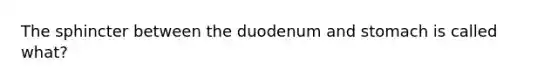 The sphincter between the duodenum and stomach is called what?