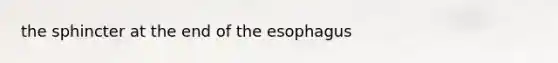 the sphincter at the end of the esophagus