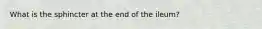 What is the sphincter at the end of the ileum?