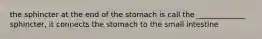 the sphincter at the end of the stomach is call the _____________ sphincter, it connects the stomach to the small intestine