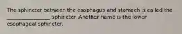 The sphincter between the esophagus and stomach is called the _________________ sphincter. Another name is the lower esophageal sphincter.