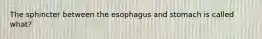 The sphincter between the esophagus and stomach is called what?