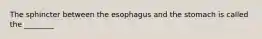 The sphincter between the esophagus and the stomach is called the ________