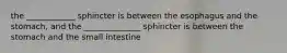 the ____________ sphincter is between the esophagus and the stomach, and the ______________ sphincter is between the stomach and the small intestine