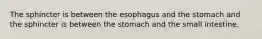 The sphincter is between the esophagus and the stomach and the sphincter is between the stomach and the small intestine.