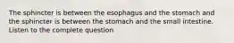 The sphincter is between the esophagus and the stomach and the sphincter is between the stomach and the small intestine. Listen to the complete question