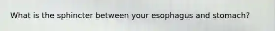 What is the sphincter between your esophagus and stomach?