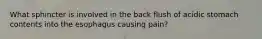 What sphincter is involved in the back flush of acidic stomach contents into the esophagus causing pain?