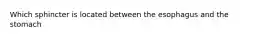 Which sphincter is located between the esophagus and the stomach